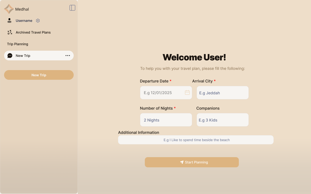 Screenshot of Medhal project